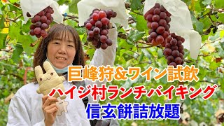 女一人旅【日帰りバスツアー】巨峰狩ampワイン試飲・ハイジ村信玄餅詰放題〜山梨県北杜市の旅〜 [upl. by Aliuqahs695]