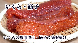 筋子からイクラを上手に取りほぐす方法！いくらの醤油漬け【いくら丼】と筋子の味噌漬けの作り方 [upl. by Yorgerg]