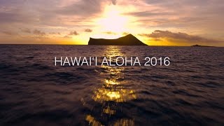 Hawaii Aloha  Song Across Hawaii  Playing For Change Collaboration [upl. by Tjon]