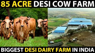 85 ACRE DESI COW FARM Biggest Desi High tech Dairy Farm in India  Mr Milk [upl. by Otilia345]