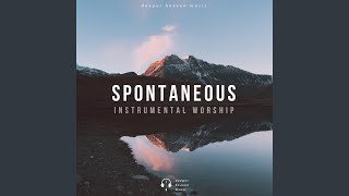 Spontaneous Instrumental Worship [upl. by Peppy]