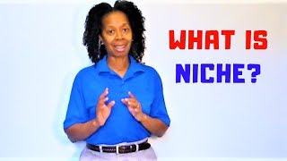 Niche Definition  What is niche [upl. by Aicat]