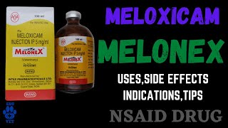 Melonex Injection  Veterinary Uses amp Details [upl. by Ayotol]