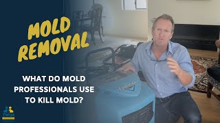 What Do Mold Professionals Use To Kill Mold [upl. by Berlyn]