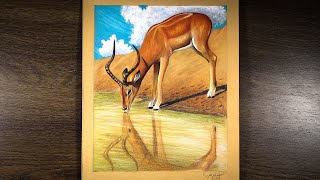 Mastering Wildlife Art Creating A Lifelike Deer Drawing with Colored Pencils [upl. by Anthe806]