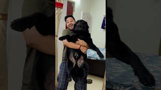 My Dog Hates Bath trending lucky doglover [upl. by Bricker]