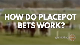 What is a Placepot Bet [upl. by Nivat]