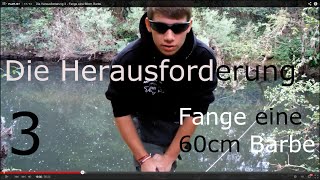 Die Herausforderung 3  Fange eine 60cm Barbe [upl. by Tnahsin]