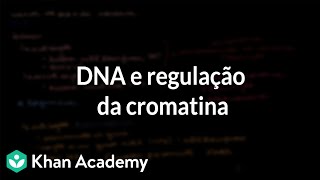 DNA e regulação da cromatina [upl. by Quartana]