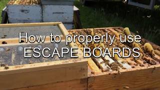 How to Properly use Escape Boards [upl. by Yrro]