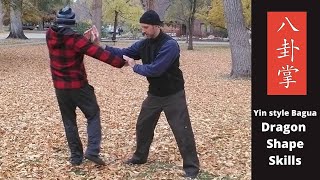 Yin Style Baguazhang Dragon Shape Skills [upl. by Merrick997]