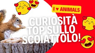 10 Curiosità sugli scoiattoli [upl. by Dev]