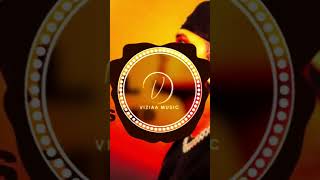 Dhanda Nyoliwala  Illegal Remix  BASS BOOSTED  VIZIAA MUSIC shorts remix [upl. by Einittirb]