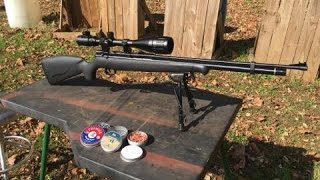 Benjamin Maximus 22 Cal Air Rifle Test Review [upl. by Frasch177]