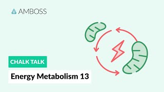 Energy Metabolism  Part 13 Fatty Acid Synthesis with molecular structures [upl. by Acima]