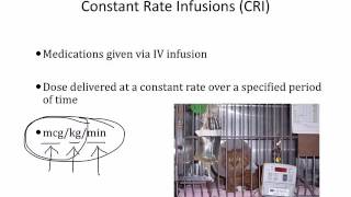 IV fluids Veterinary Pharmacology [upl. by Selwyn]
