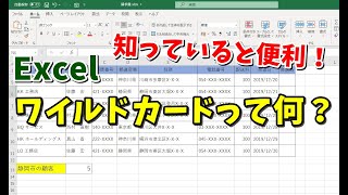 Excel ワイルドカード ＊アスタリスクの使い方 [upl. by Fariss775]