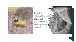 Derwent Inktense glaze over a water soluble graphite drawing of a Yellow Weaver bird [upl. by Barrow]