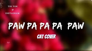 Paw Pa Pa Pa Pow Song GyurzCat Cover x Instrumental Full Song Tik Tok amp Reels [upl. by Kachine]