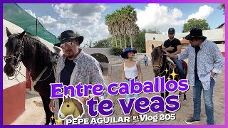 Pepe Aguilar  El Vlog 205  Entre Caballos te Veas [upl. by Bealle572]