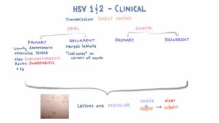 HSV  Clinical Presentation  Part 1 [upl. by Dixon]