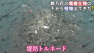 数万匹の竜巻生物の下にダンゴを落としたら怪物が出てきた470話目 [upl. by Oynotna]