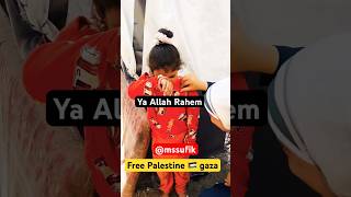 Ya Allah Rahem free Palestine 🇵🇸 palestine food love humanity tranding shortvideo video [upl. by Erot]