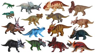 Ceratopsian Dinosaurs  The Kids Picture Show [upl. by Rramed]