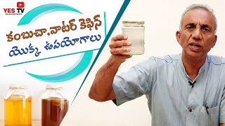 quotకంబుచాquot quotవాటర్ కెఫిర్quot యొక్క ఉపయోగాలుkombuchawater kefirMCV PrasadPrakrutivanamYes Tv [upl. by Branca]