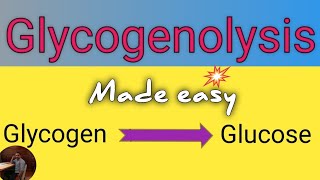 Glycogenolysis Pathway in Biochemistry ll Definition ll Site ll Significance ll Regulation [upl. by Oiligriv]