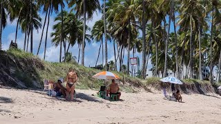 PRAIA DE ITAPUAMA PARAÍSO VALE APENA CONHECER CABO PERNAMBUCO [upl. by Marabel]