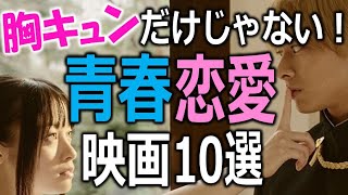 観た回数だけ恋できる！青春恋愛映画１０選【邦画おすすめ】 [upl. by Stutman]