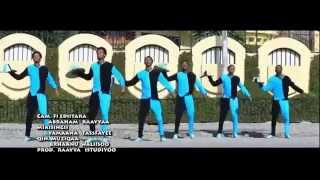 Sabboontitii New Afaan Oromo Music Dabbabaa Add [upl. by Elrebma]