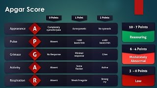 Apgar Score [upl. by Files]