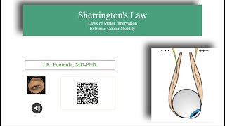 Sherringtons Law or Reciprocal Innervation Law [upl. by Ultima521]