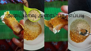 Adai Dosai Recipe in Tamil  Healthy Breakfast Recipe  Spice Tamil [upl. by Haroppizt]