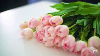 Tulip Flower Arrangement and Care Tips [upl. by Renba]