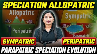 Speciation Allopatric Sympatric Peripatric amp Parapatric Speciation Evolution [upl. by Atnod136]