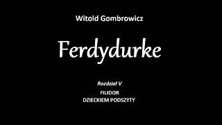 Ferdydurke  rozdział 5 [upl. by Razaile]