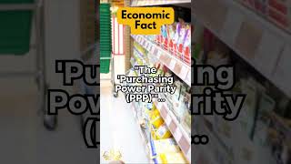 The Purchasing Power Parity PPP [upl. by Nellak672]