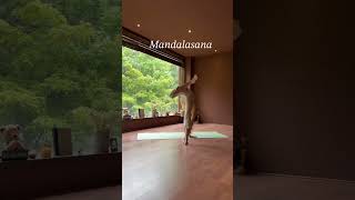 8 just a random stuff on the internet mandalasana yoga fyp shortsvideo shortsfeed memes [upl. by Willett]