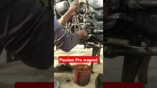 Passion Pro magnet fitting [upl. by Akemrehs]