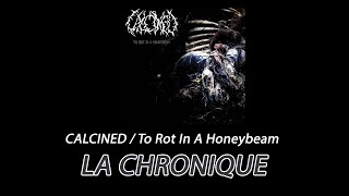 CALCINED Death Metal  La Chronique d Olivier No Limit [upl. by Ban958]