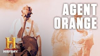 What Is Agent Orange  History [upl. by Lumbard]