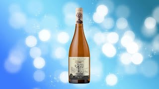 Review of Morande Terrarum Semillon 2022 white wine [upl. by Drona193]