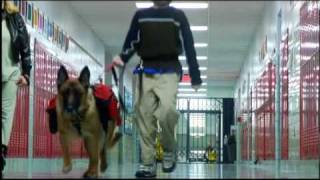 Seizure Response Dogs in School [upl. by Acul]