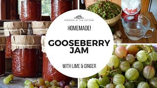 HOMEMADE GOOSEBERRY JAM  Delicious amp Flavourful [upl. by Nessie]