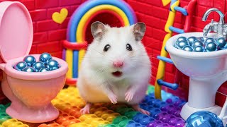 Hamster Pop It Maze Escape 🐹🌈 the Rainbow Prison Maze  Hamsters Great Escape [upl. by Santini]