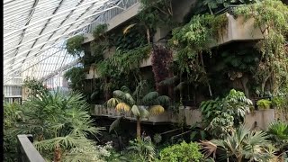 Barbican Conservatory London [upl. by Mascia482]