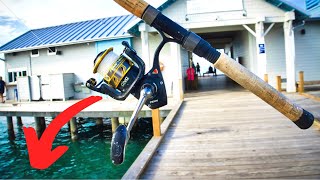 Fishing Anna Maria Island City Pier For Whatever I Can Catch [upl. by Ademla309]